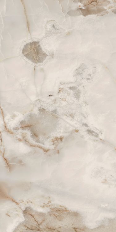 Reves Noisette Matte 24 x 48